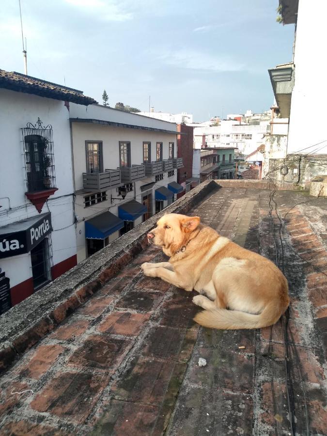 Hostal 50 Xalapa Extérieur photo